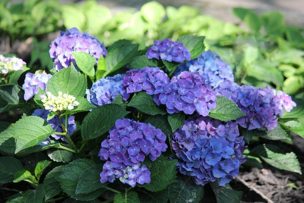 Astuces Ingénieuses pour Optimiser l'Espace dans Votre Rénovation de Maison