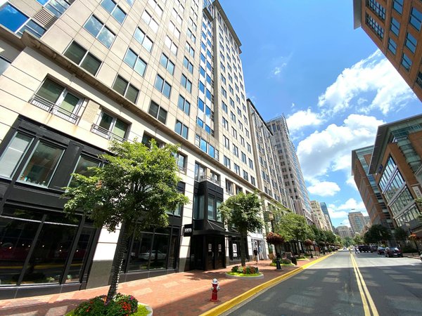 Paillage : solution pour un jardin sans mauvaises herbes